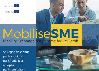 Forum delle Camere di Commercio dell�Adriatico e dello Ionio - MobiliseSME: un programma dell�Unione Europea cofinanziato dal Programma EaSI (EURES) e dedicato alla mobilit� delle PMI in Europa